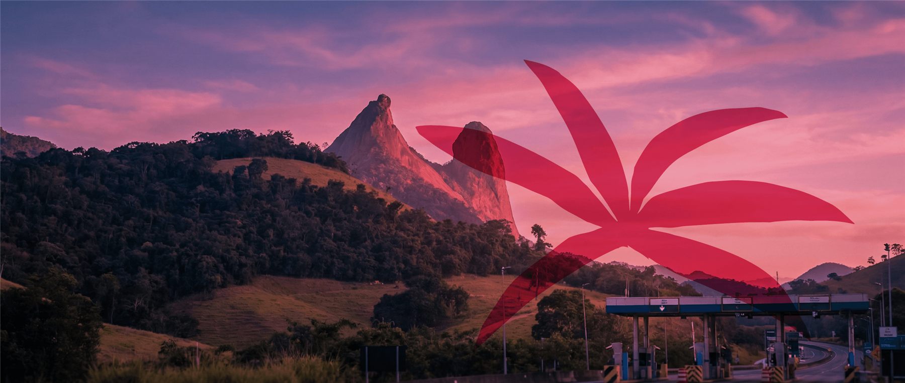 Trilha do Pico da Boa Vista